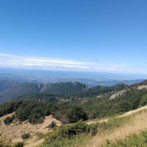 Yoga enfant (20 séances atelier ou en ligne)
