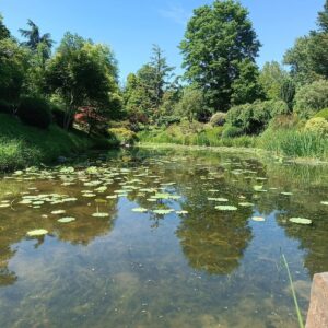 Journée artistique en nature (adulte/enfant)
